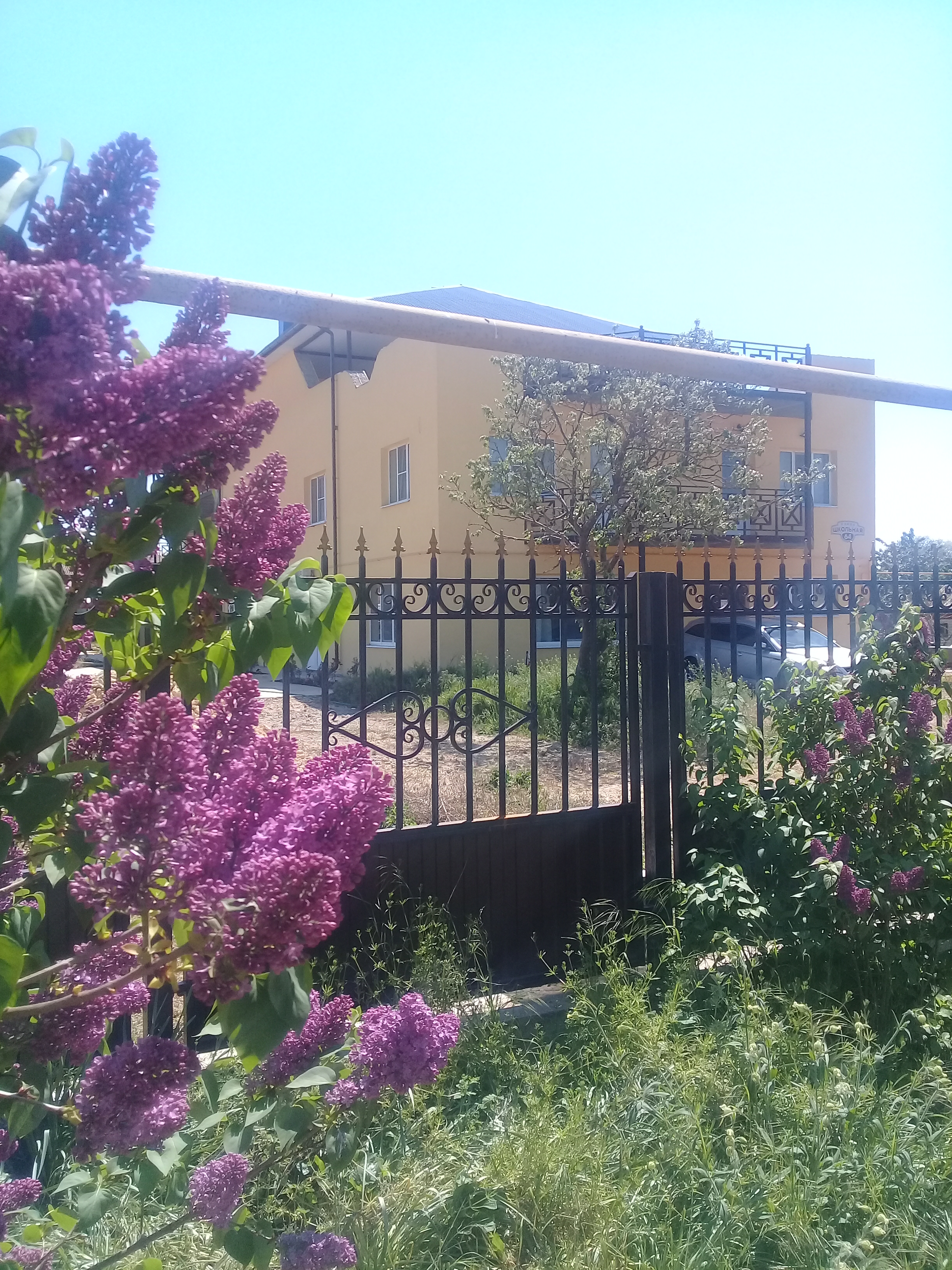 Фото Добрый Бобр