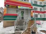 Продукты (Kurortnaya ulitsa, 8) ، محل بقالة