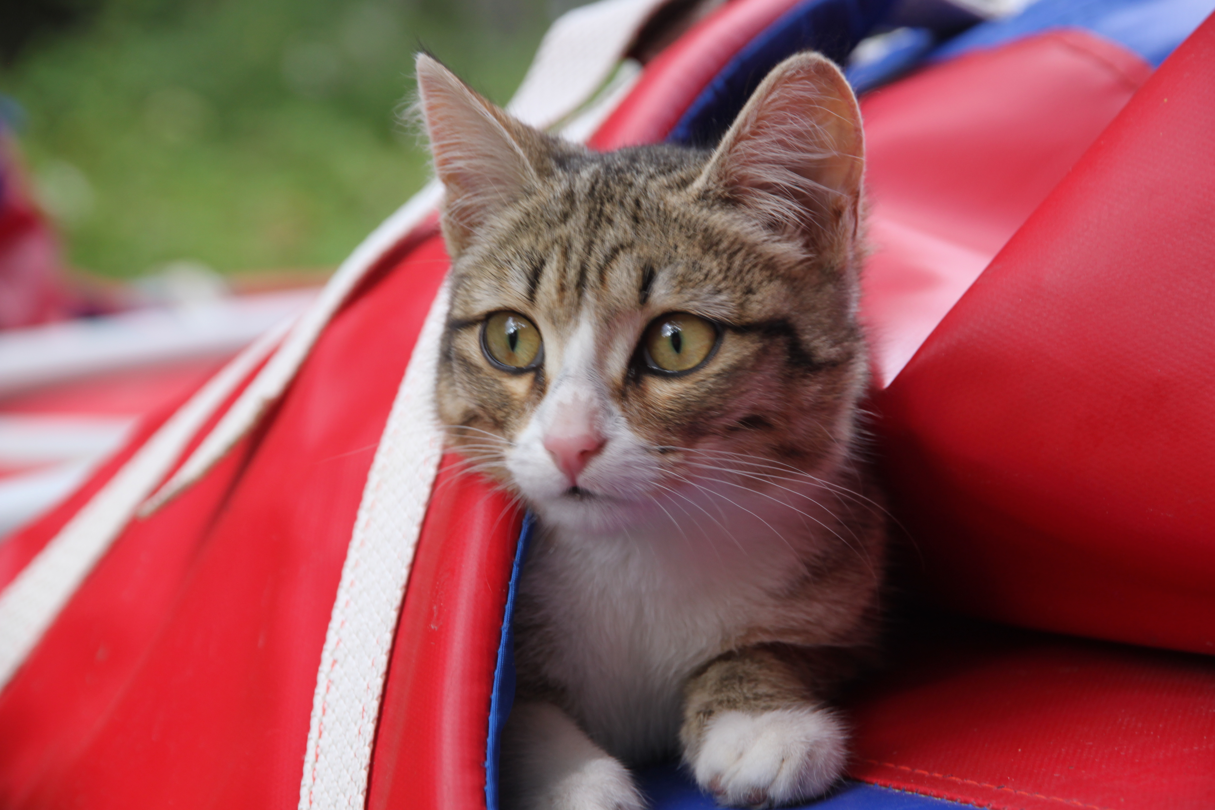 Фото Ак-Талай тур