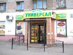 Универсал (Bryansk Urban District, Bezhitskiy City Administrative District, Rostovskaya ulitsa, 6), grocery