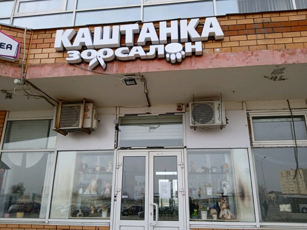 Каштанка просп победы 106а фото