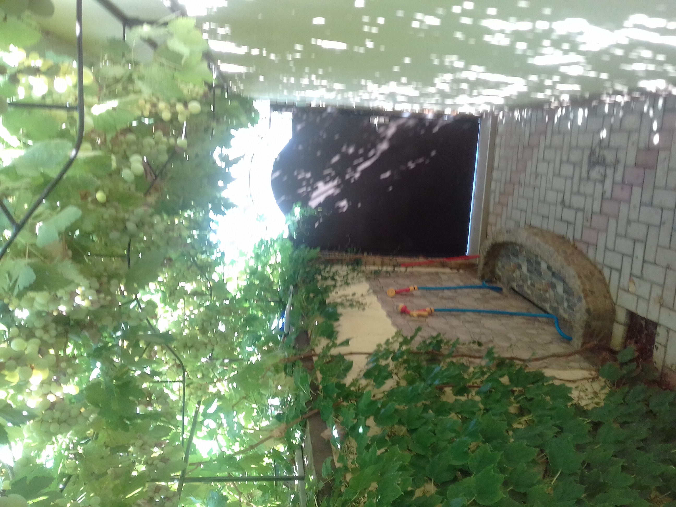 Фото Александрия