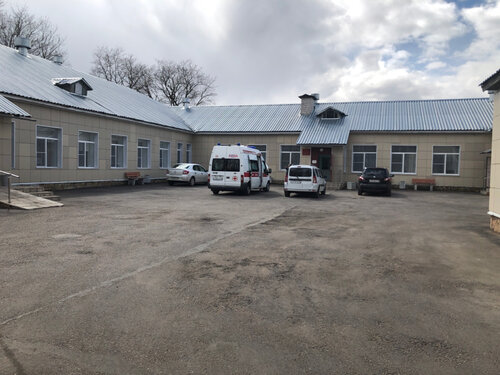 Hospital Большеврудская больница, Saint‑Petersburg and Leningrad Oblast, photo