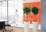 Ngd Nordic Green Design Ab (Stockholm, Svalgränd, 2), entrega de flores y ramos