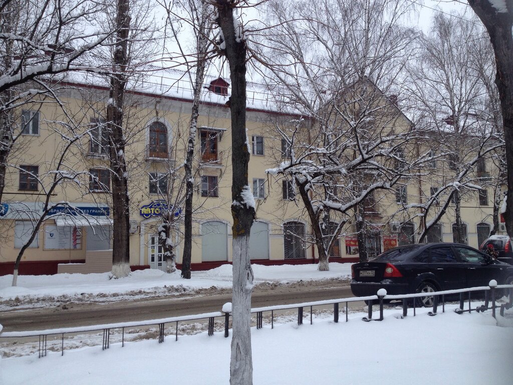 Educational center Ucheny kot, Bryansk, photo