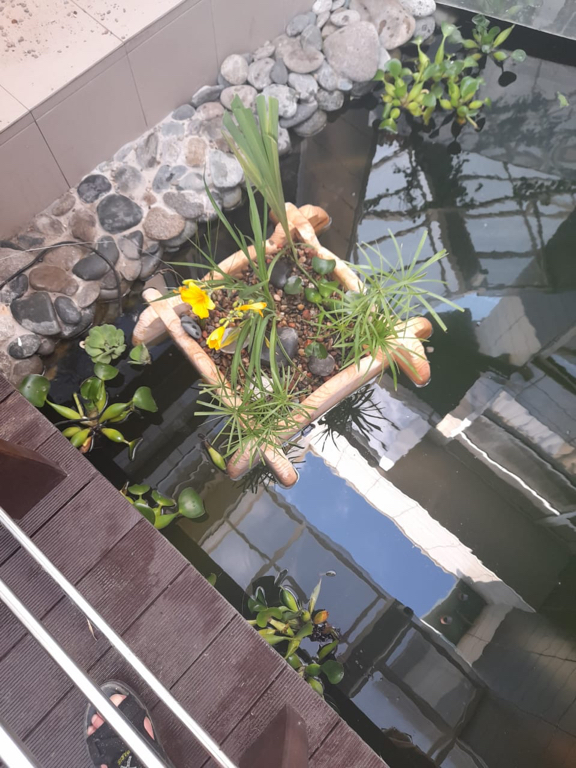 Фото Бельведер