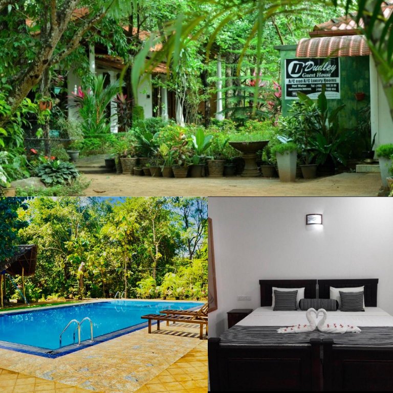 Фото N. L. I. Guest House