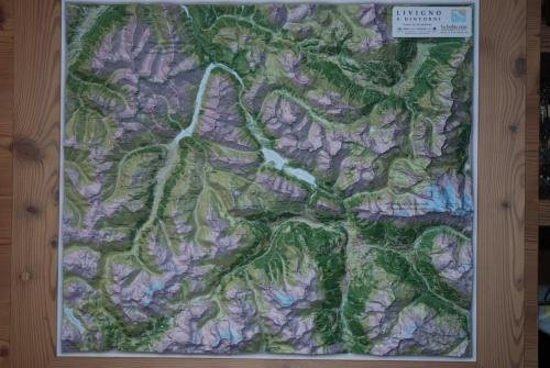 Фото Hotel B&b Bondi