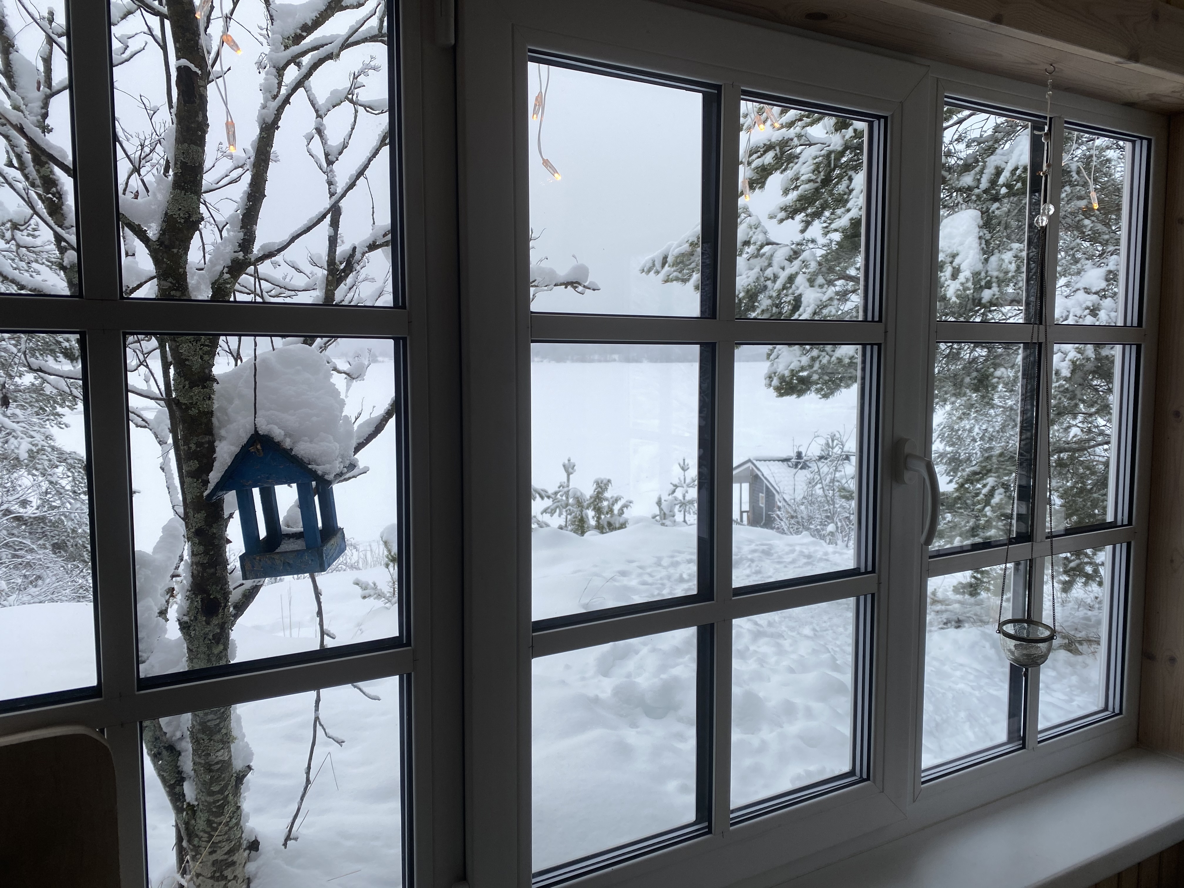 Фото Зайкина дача