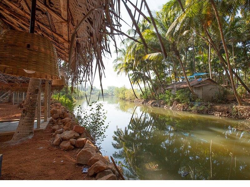 Фото Palm Trees Ayurvedic Heritage