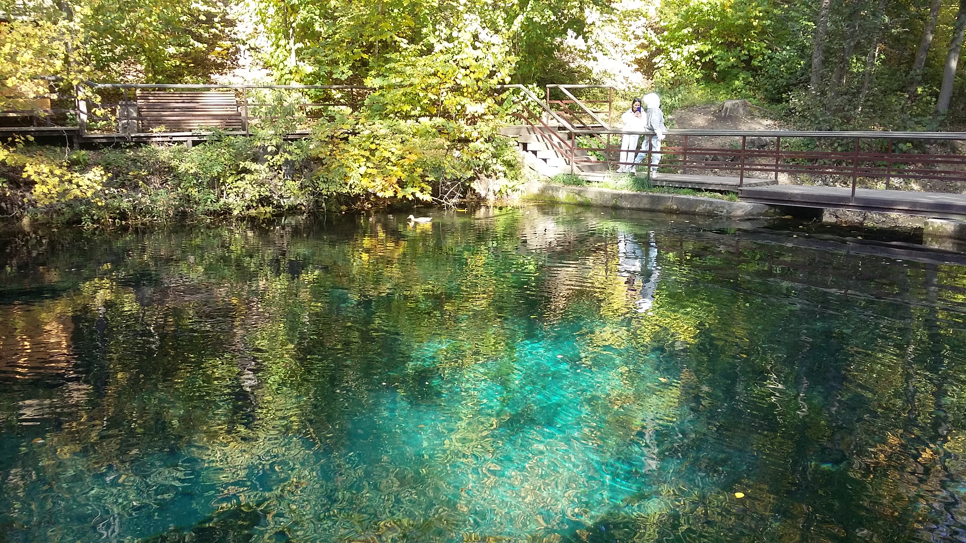 Фото Крутушка