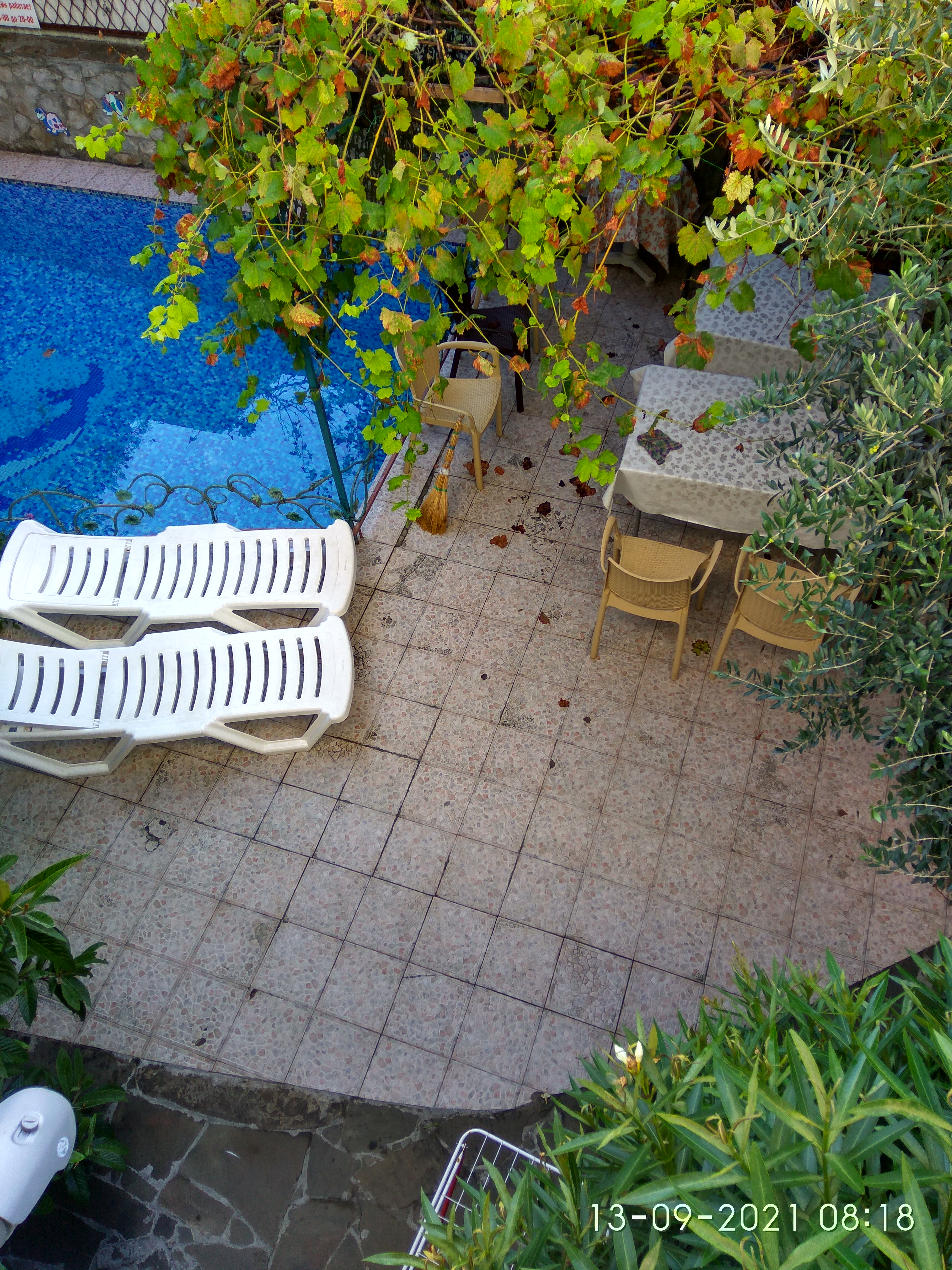 Фото Вилла Лилия