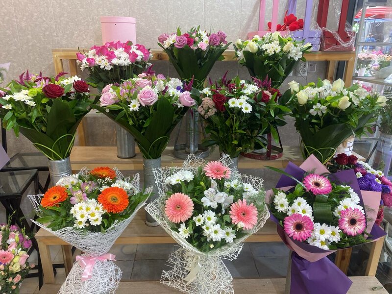 Afrika qabila qizlari porno video