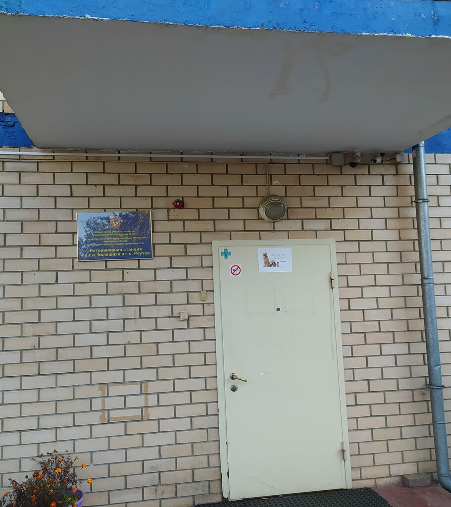 Ветеринарная аптека Терветуправление № 5, ветеринарная станция по ГО Балашиха и ГО Реутов, Реутов, фото