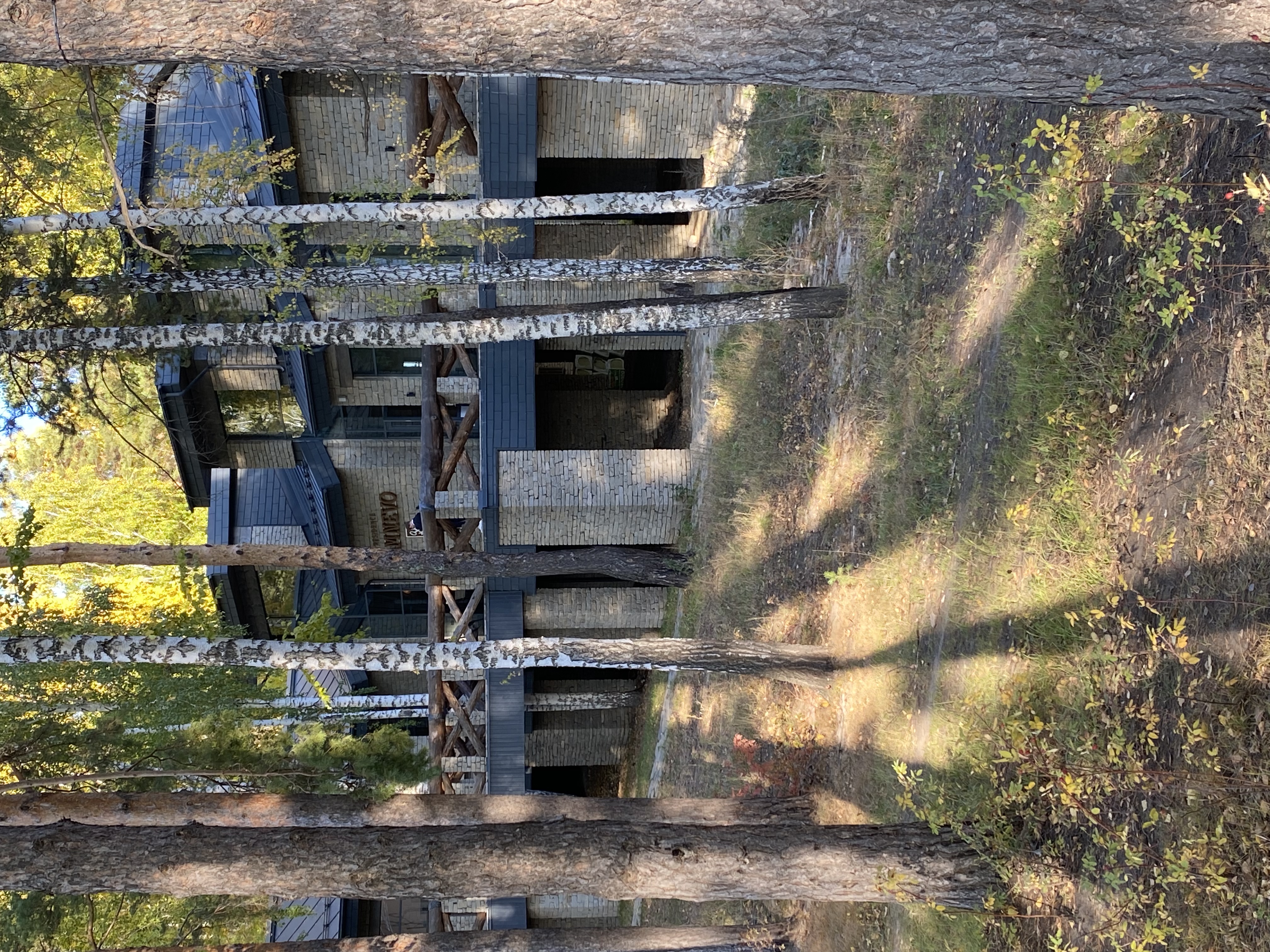 Фото Камнево