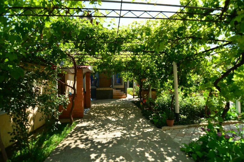 Фото Ласточка