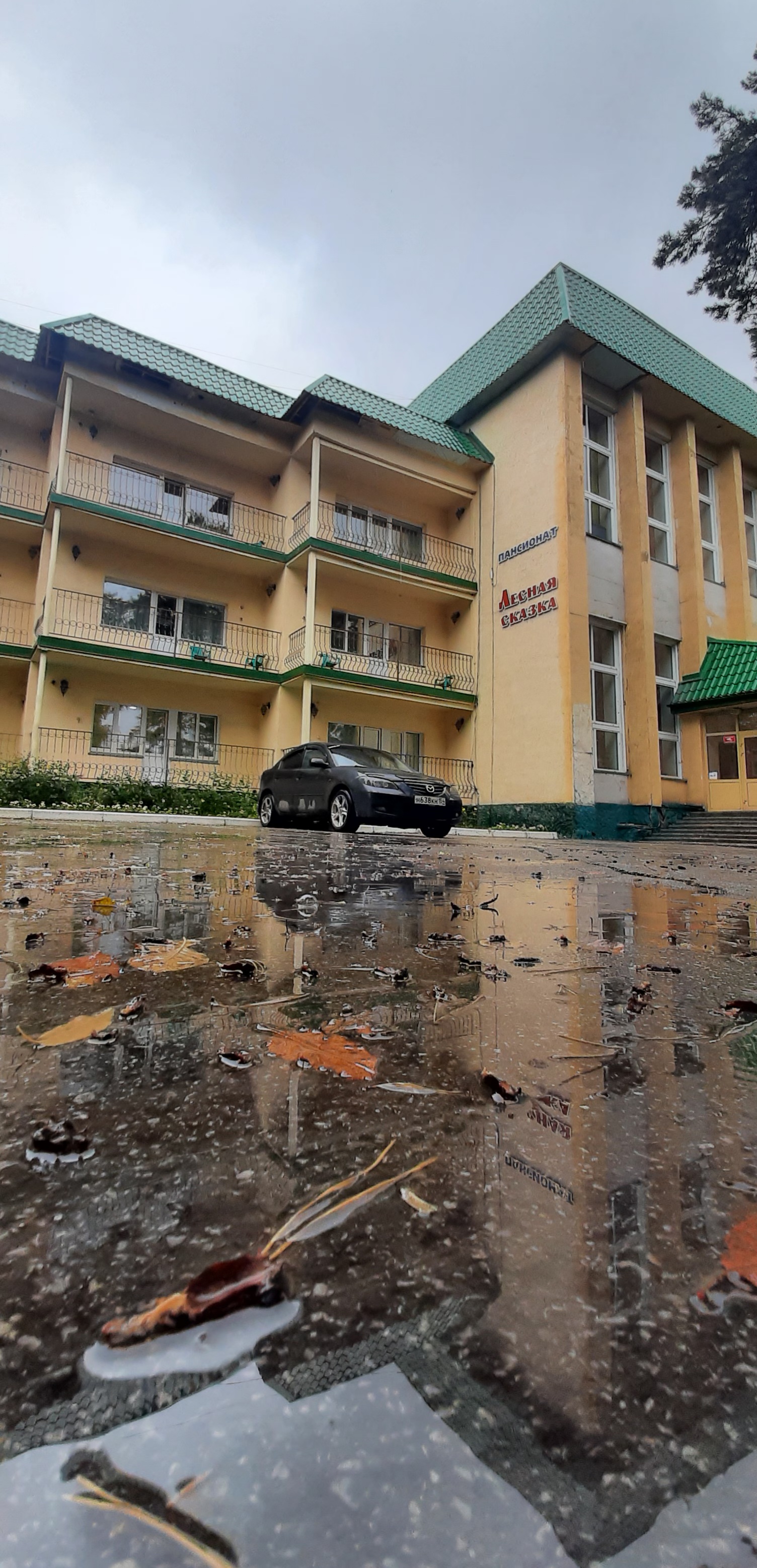 Фото Лесная сказка