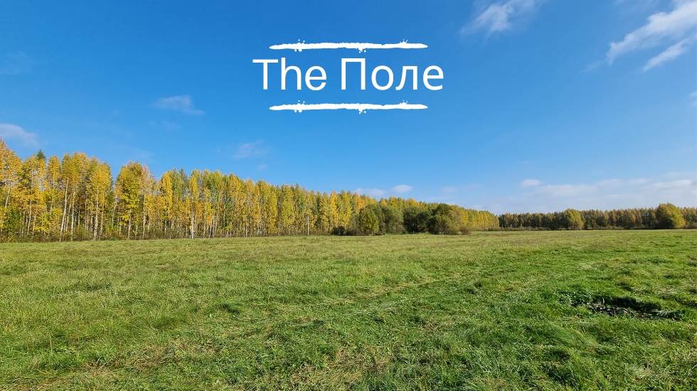 Фото The Поле