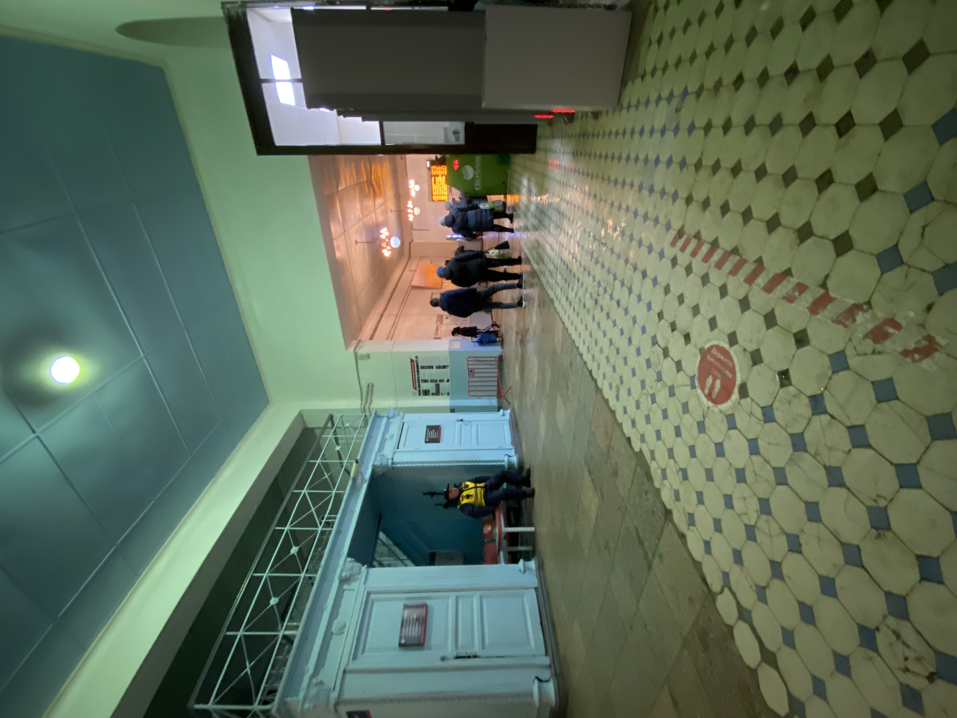 Фото Берёзка