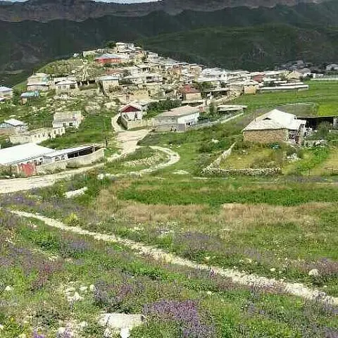 Фото Балхар