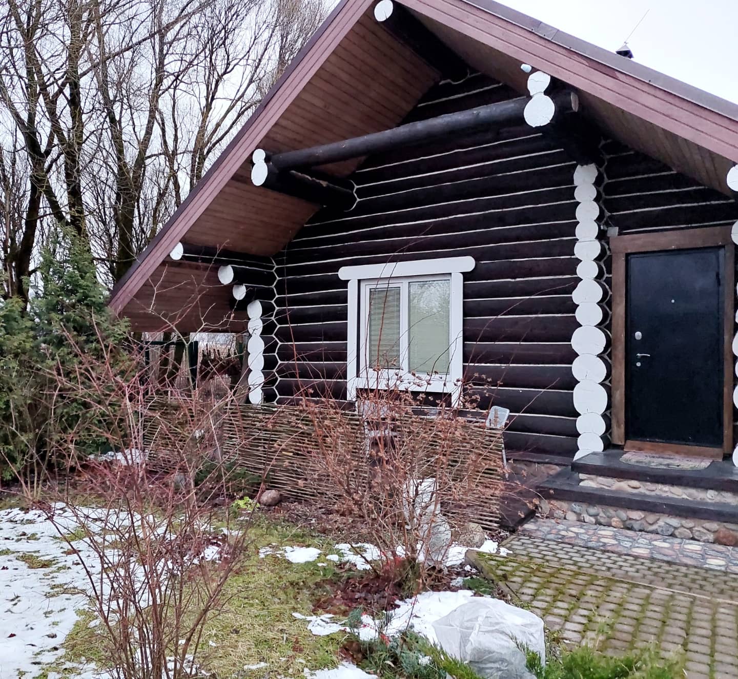 Фото Сорока