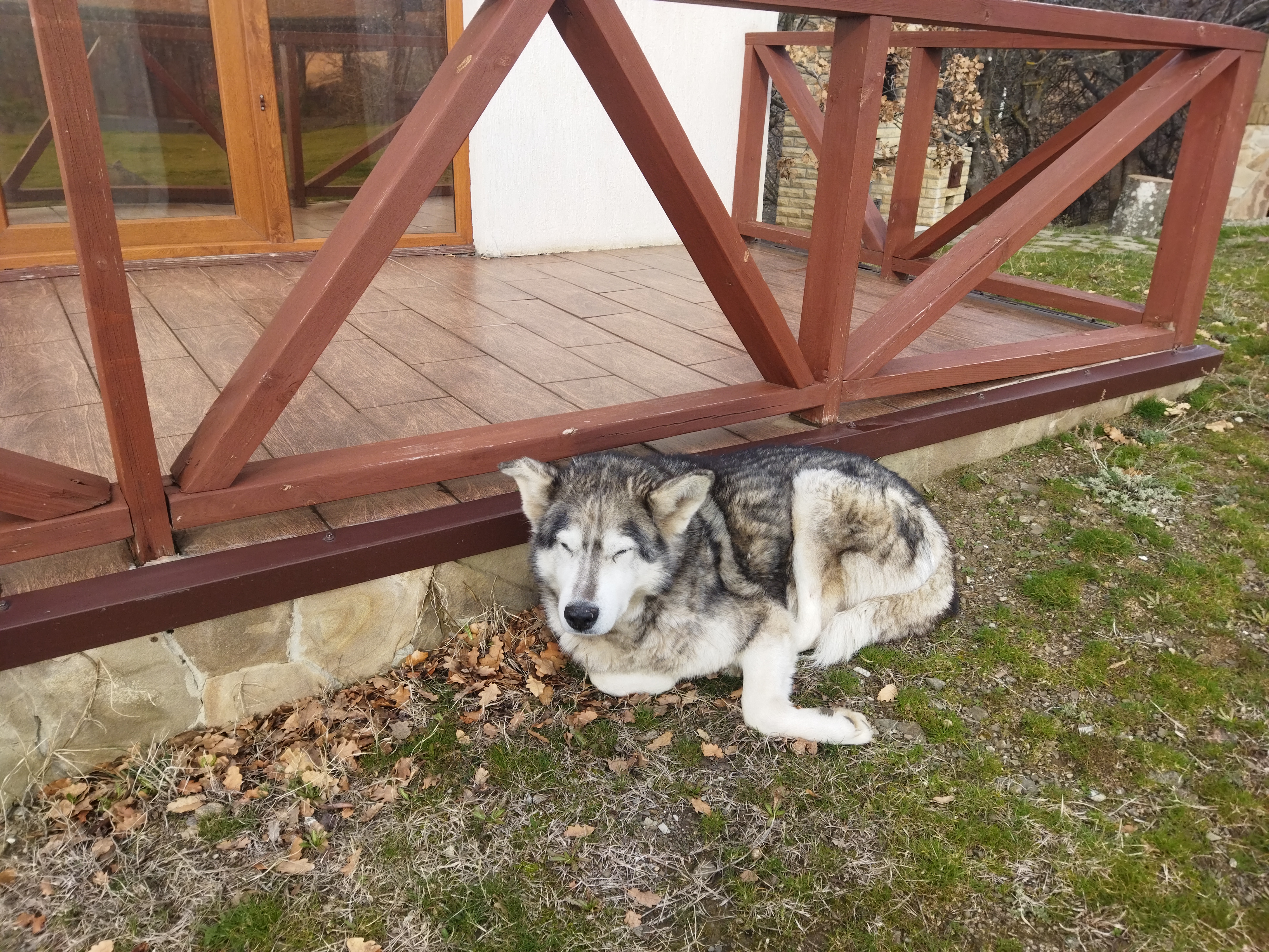 Фото Вилла Виктория