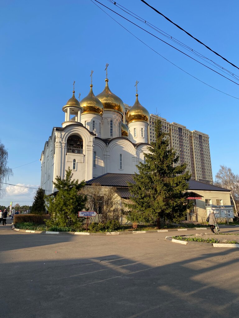 Православный храм Церковь Пантелеимона Целителя, Жуковский, фото