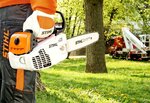 Спил Деревьев Батайск (ulitsa Kuybysheva, 27), urban improvement