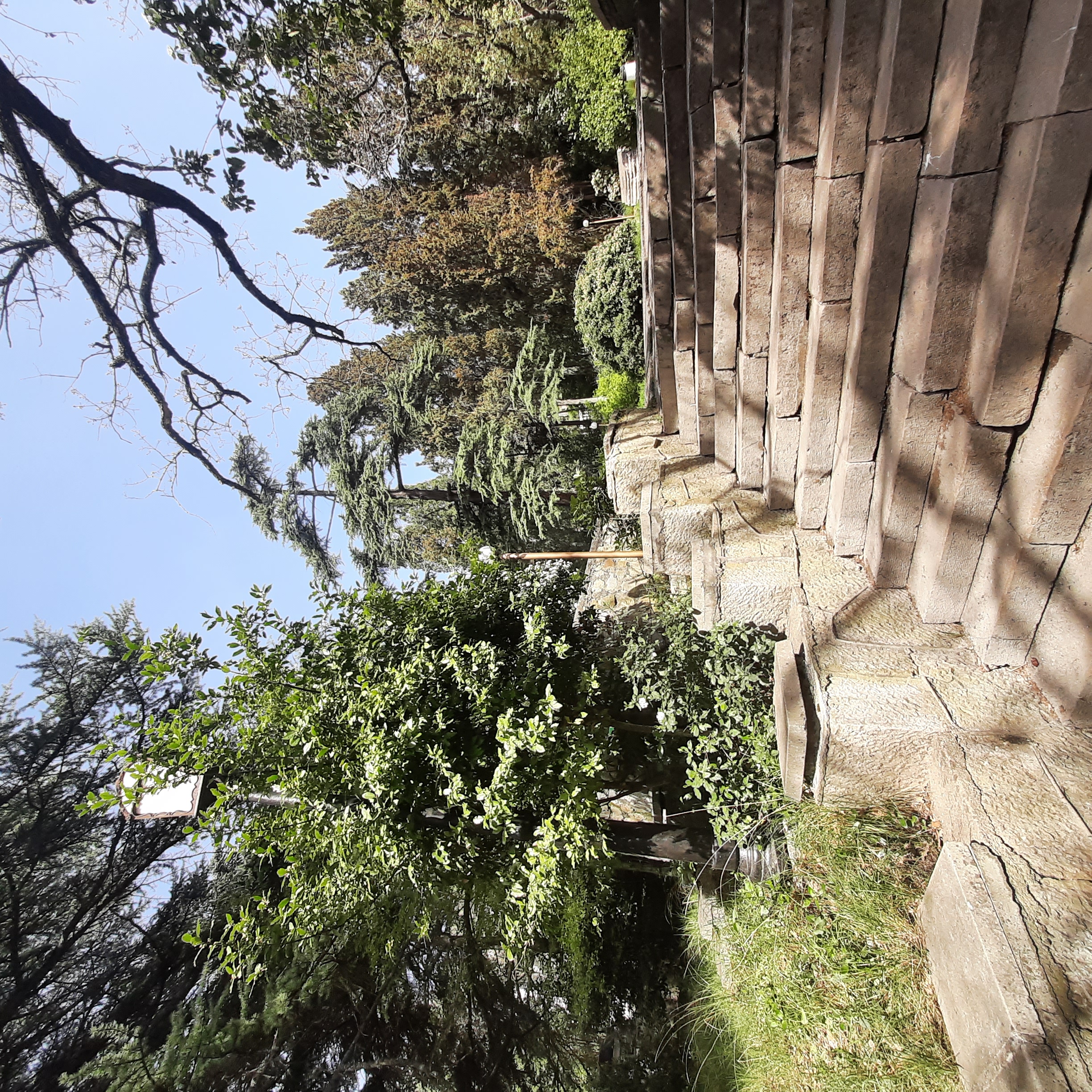 Фото Сон у Моря в Пальмира Палас