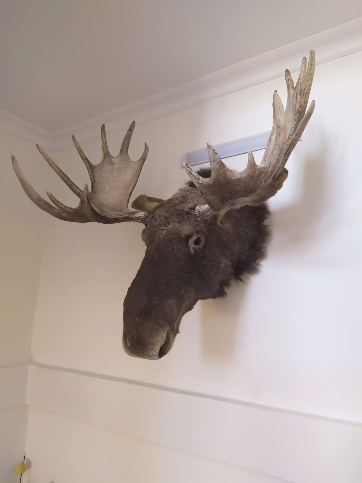 Фото Галбека