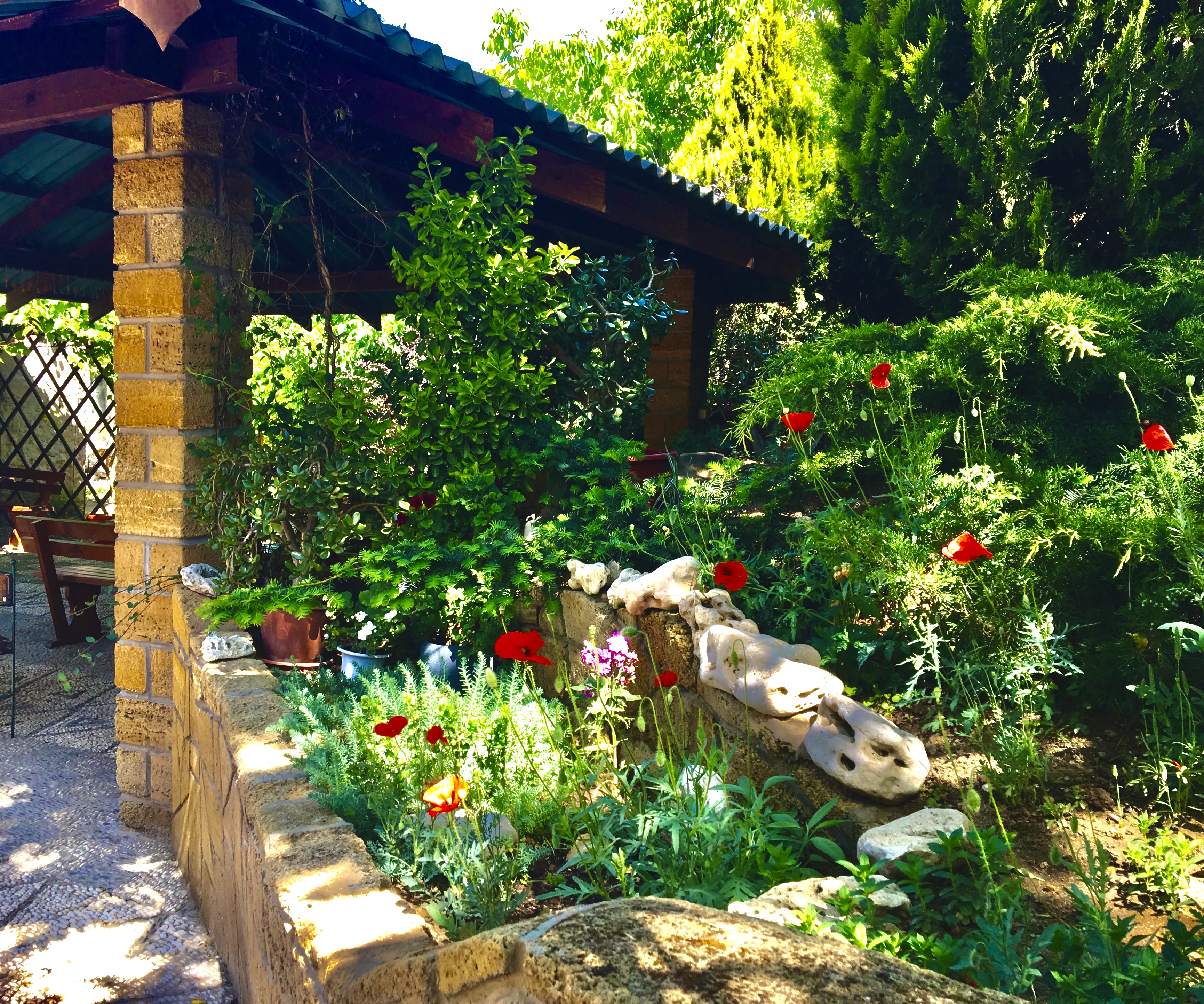 Фото Вилла Аркале