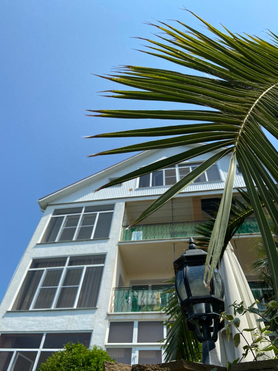 Фото Династия