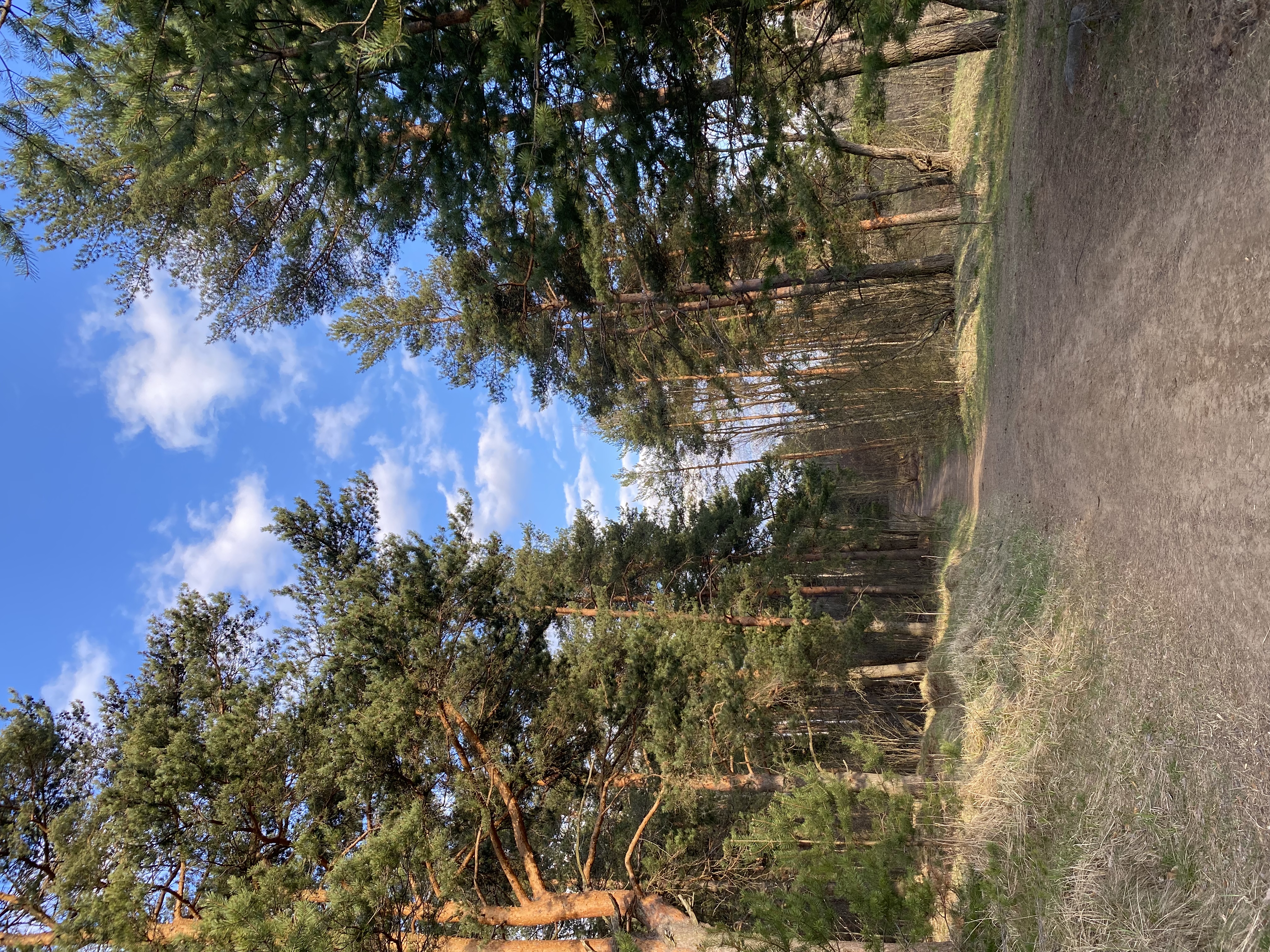 Фото ЕдунеЕду