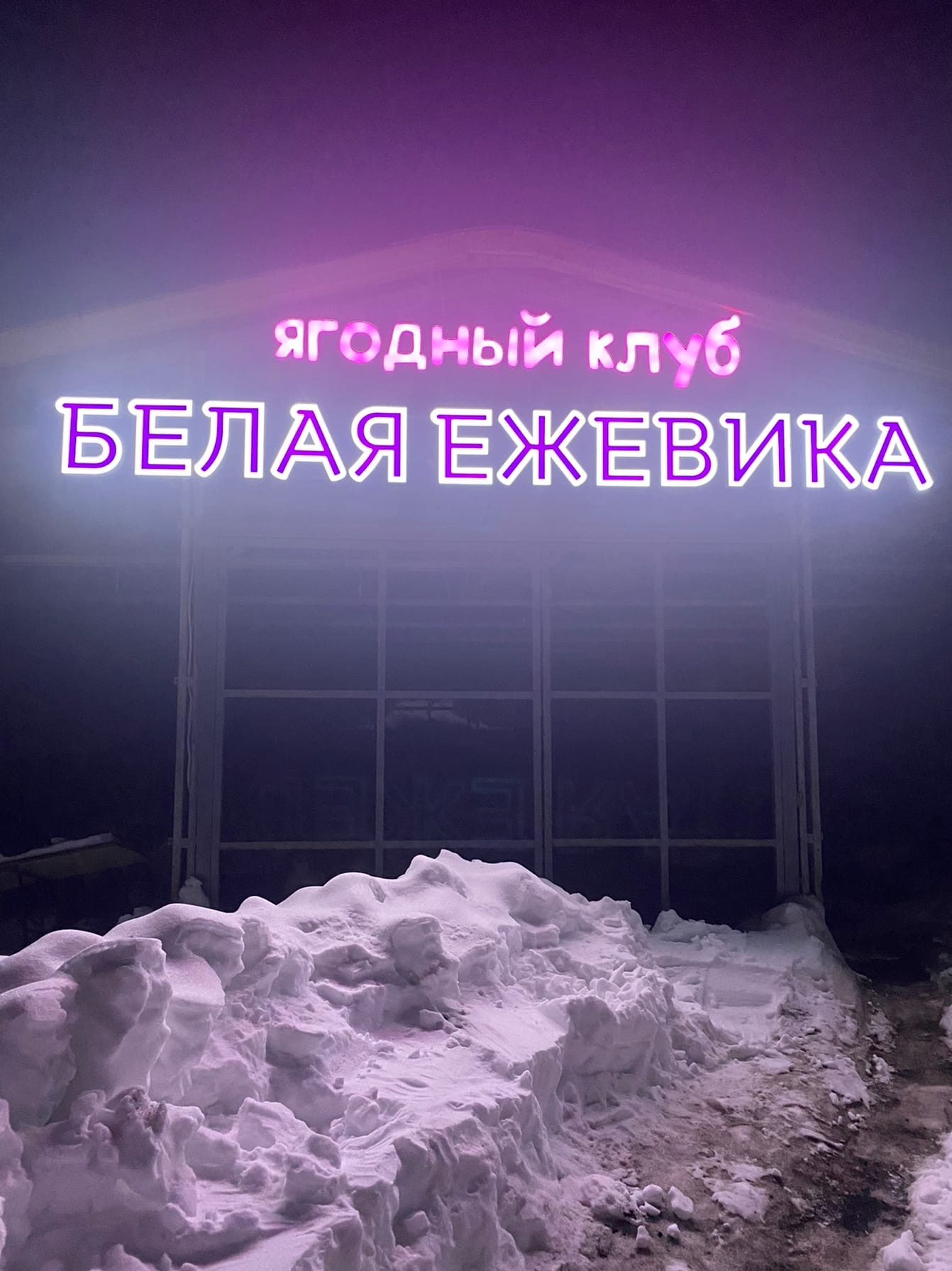 Фото Белая ежевика