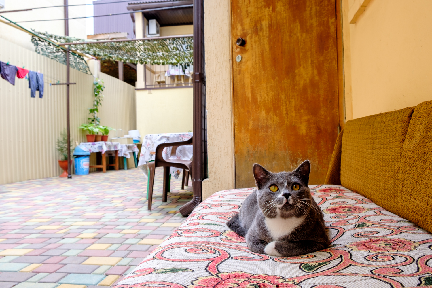 Фото Уютный Дворик у Татьяны Александровны