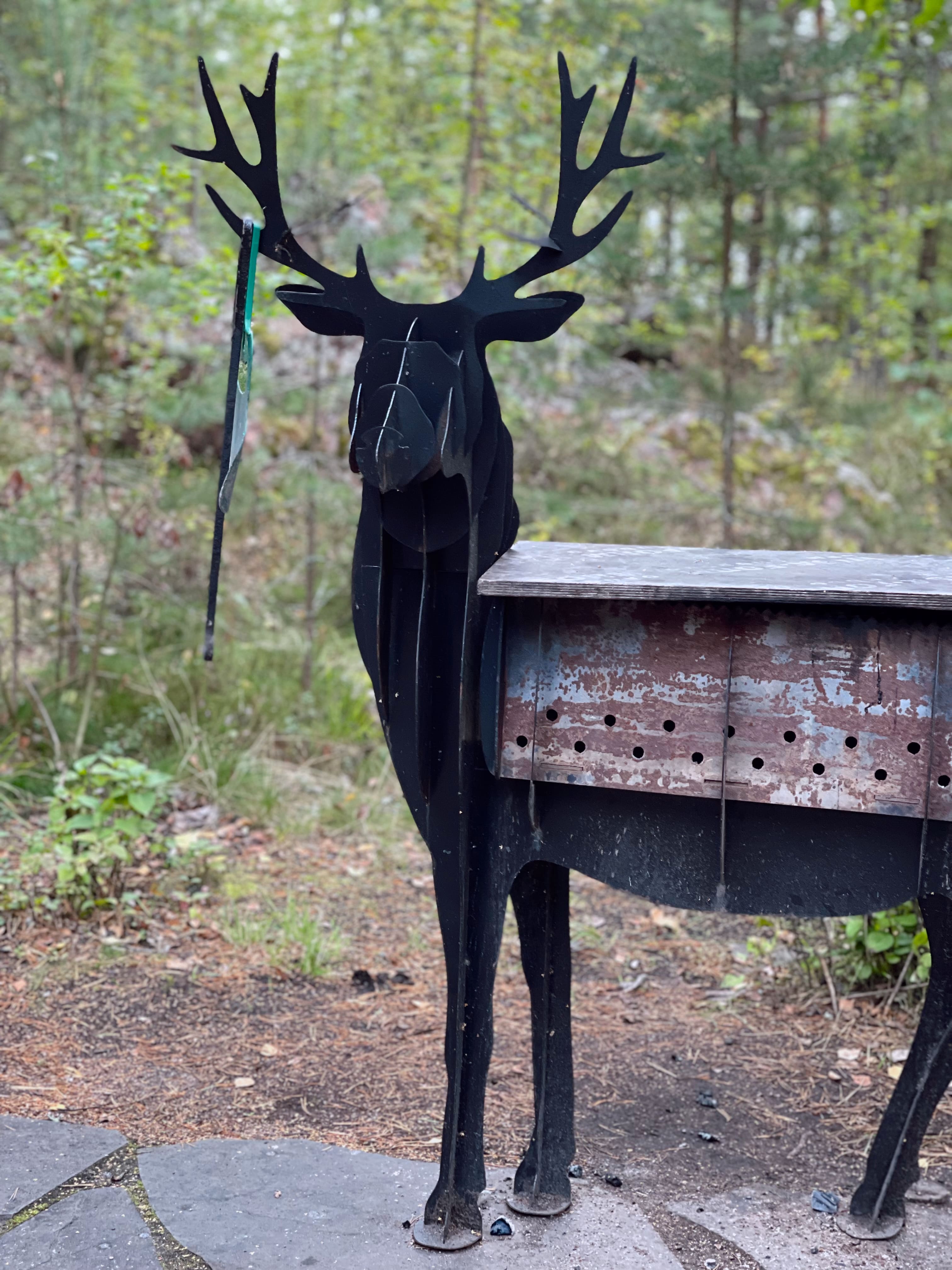 Фото Фрегат