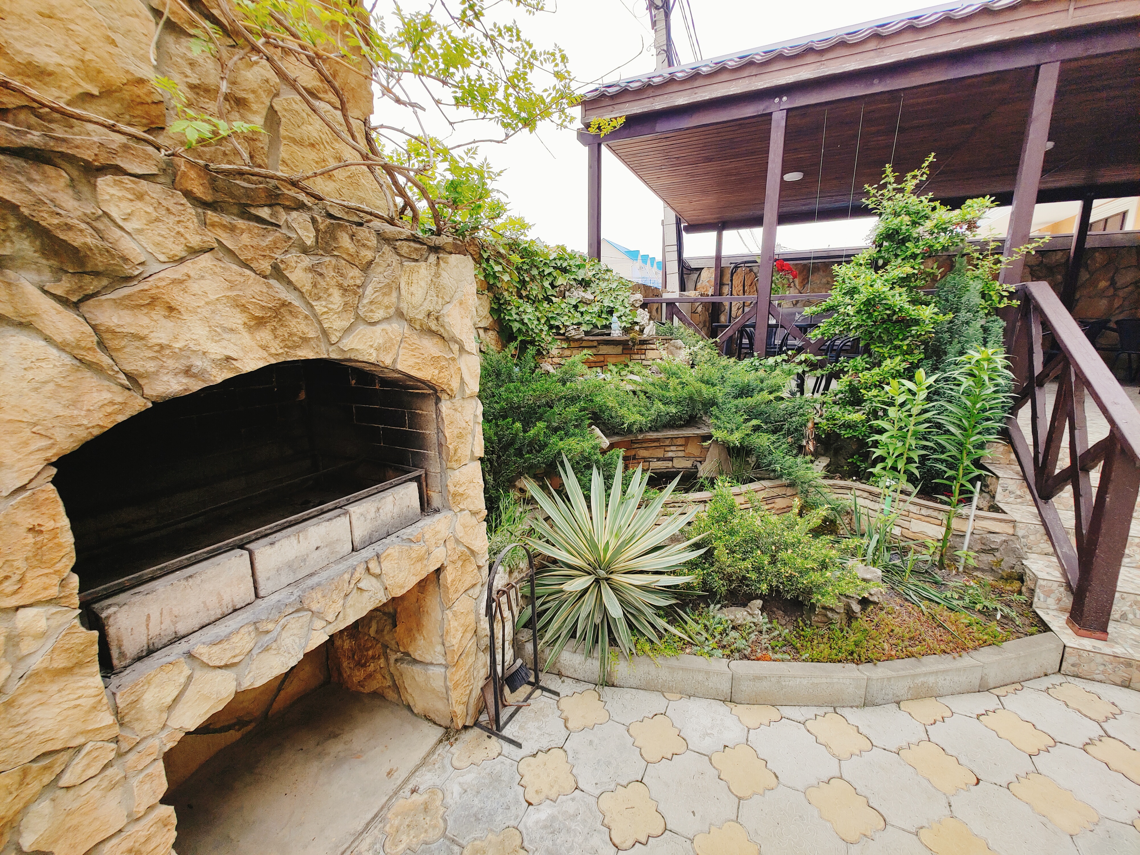 Фото Наутилус