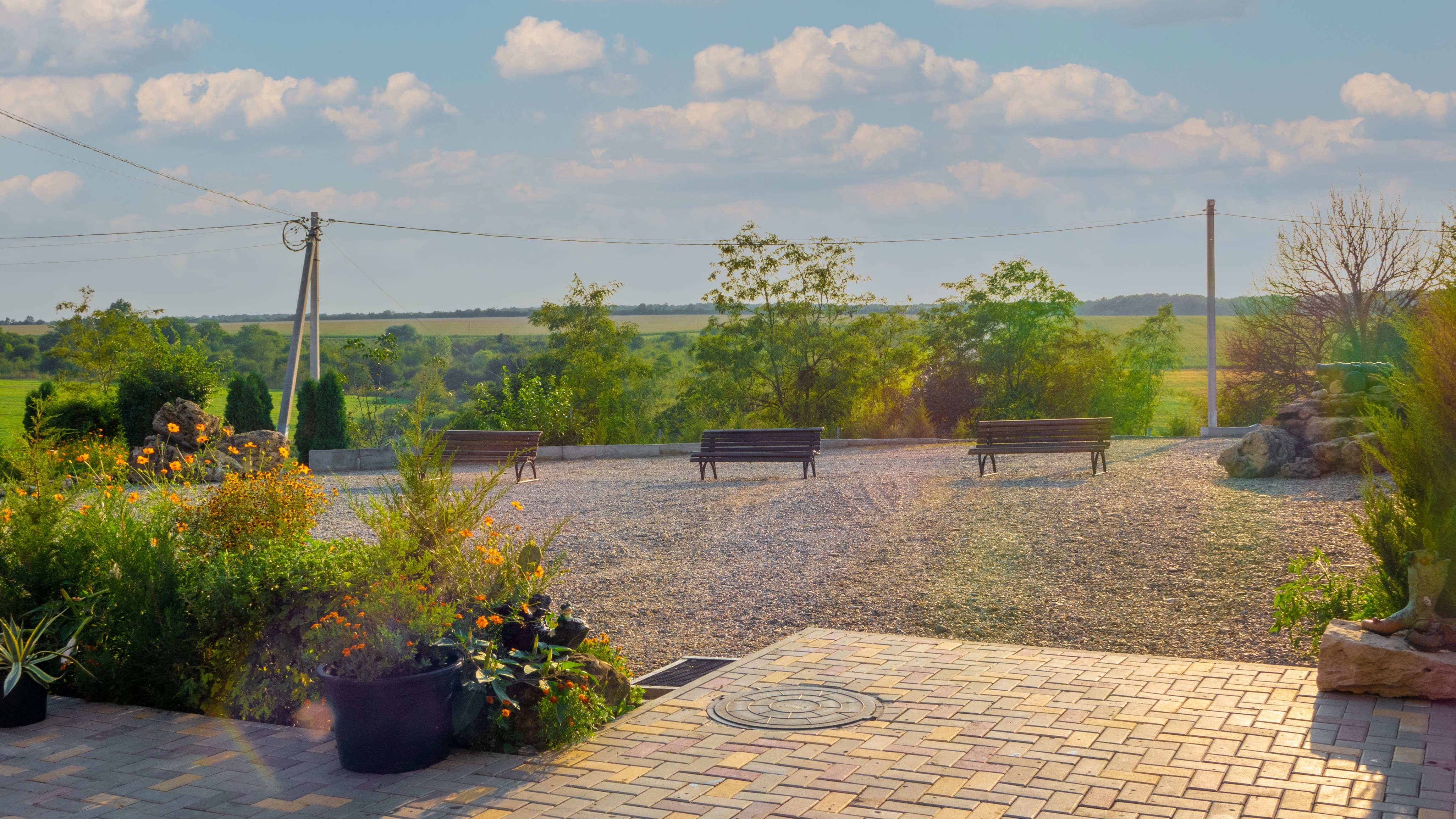 Фото Золотая рыбка