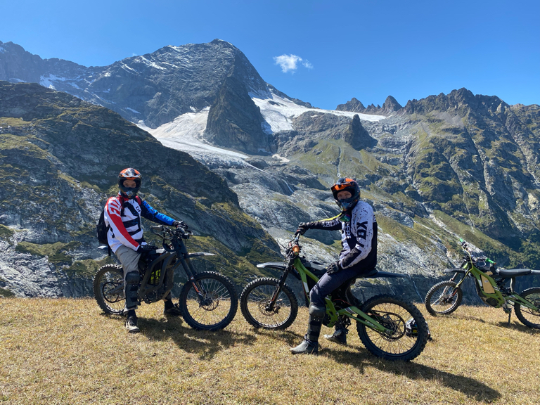 Фото Лесной кот