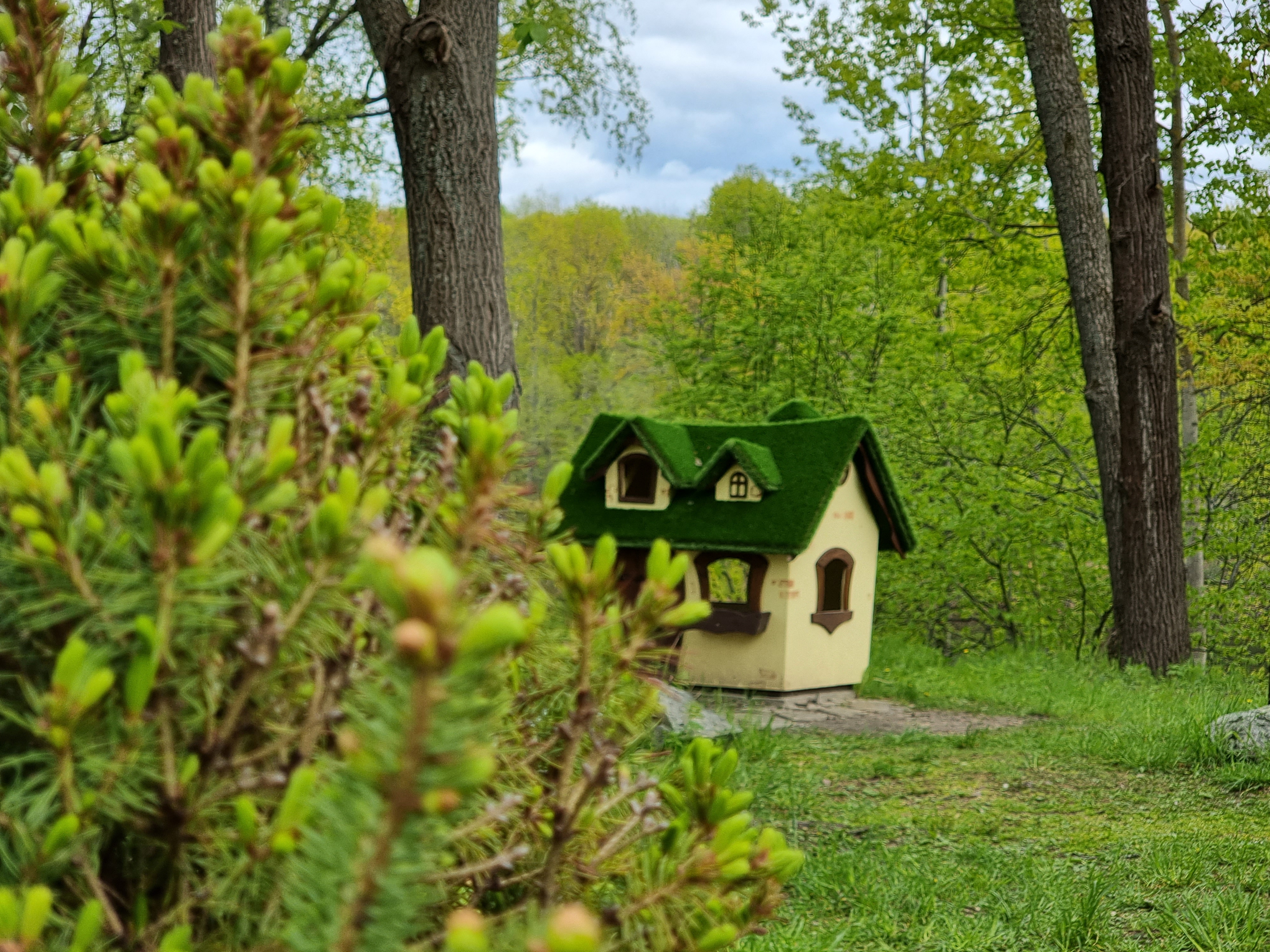 Фото Ильдорф