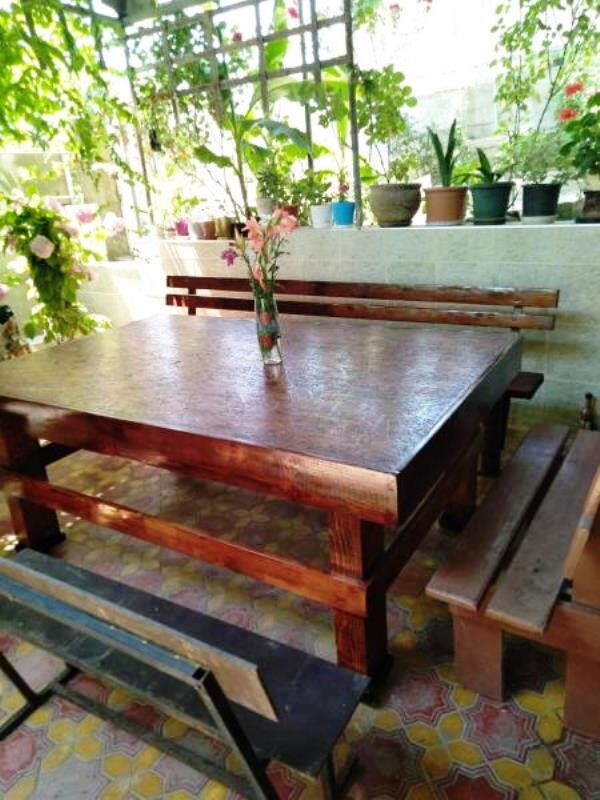 Фото Олеандр