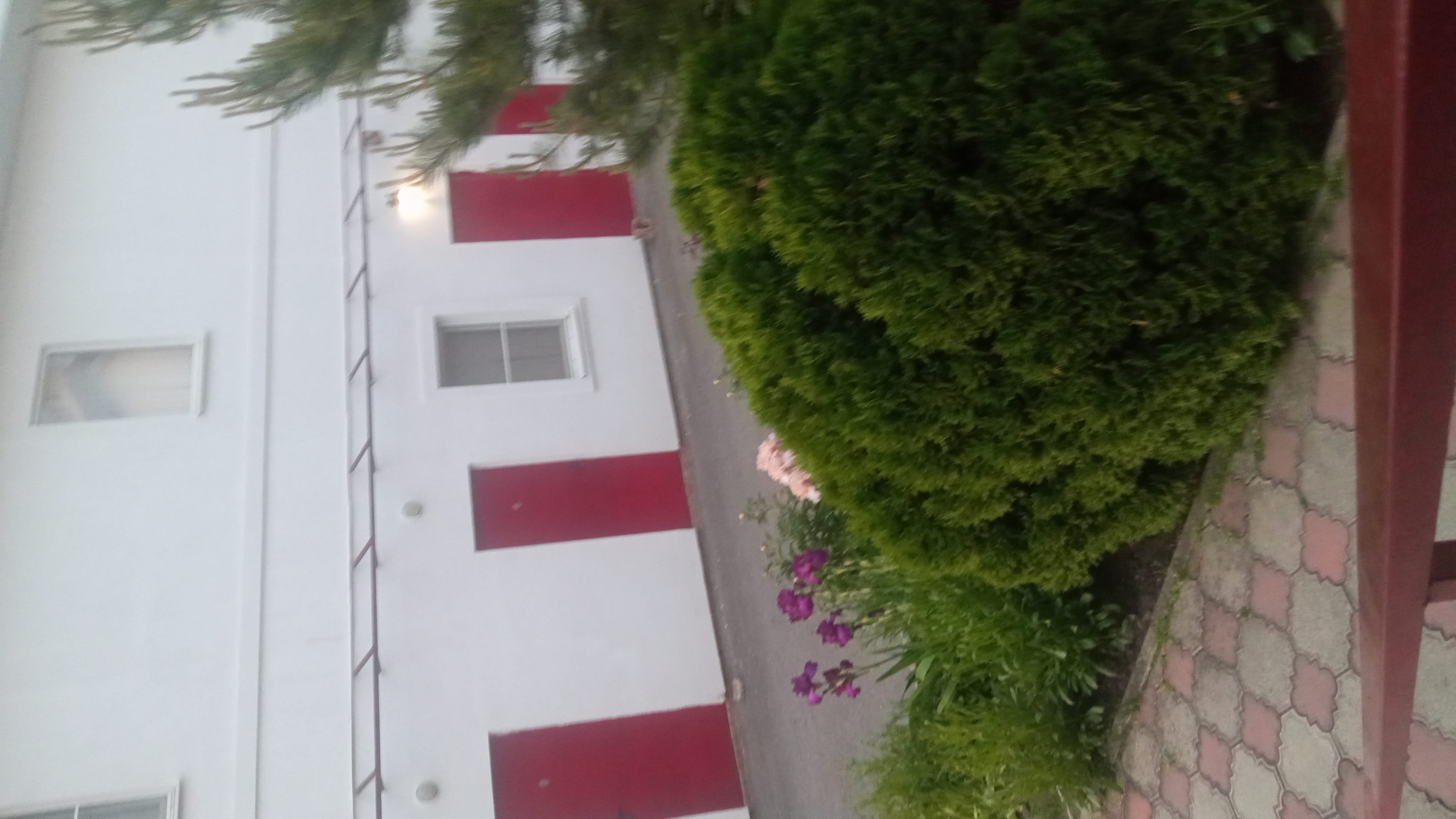 Фото Корона