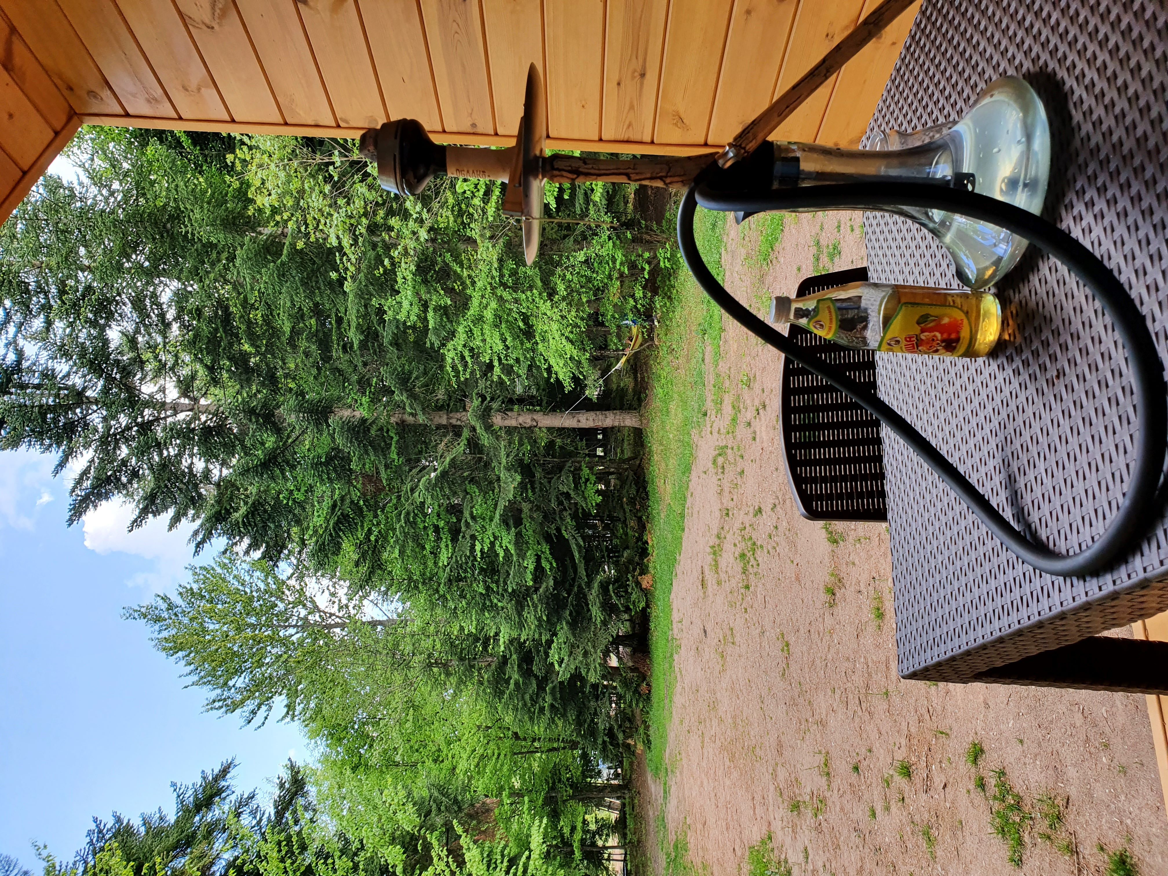 Фото Сияние Family Club