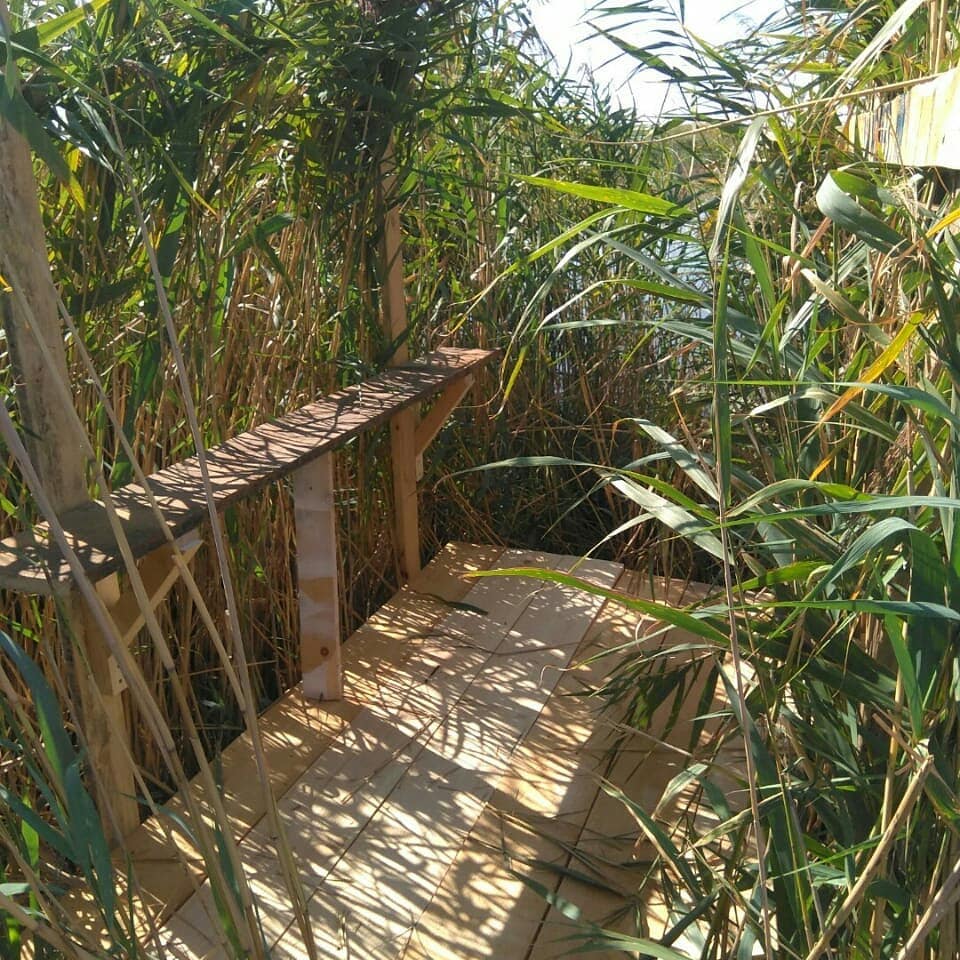 Фото Юность