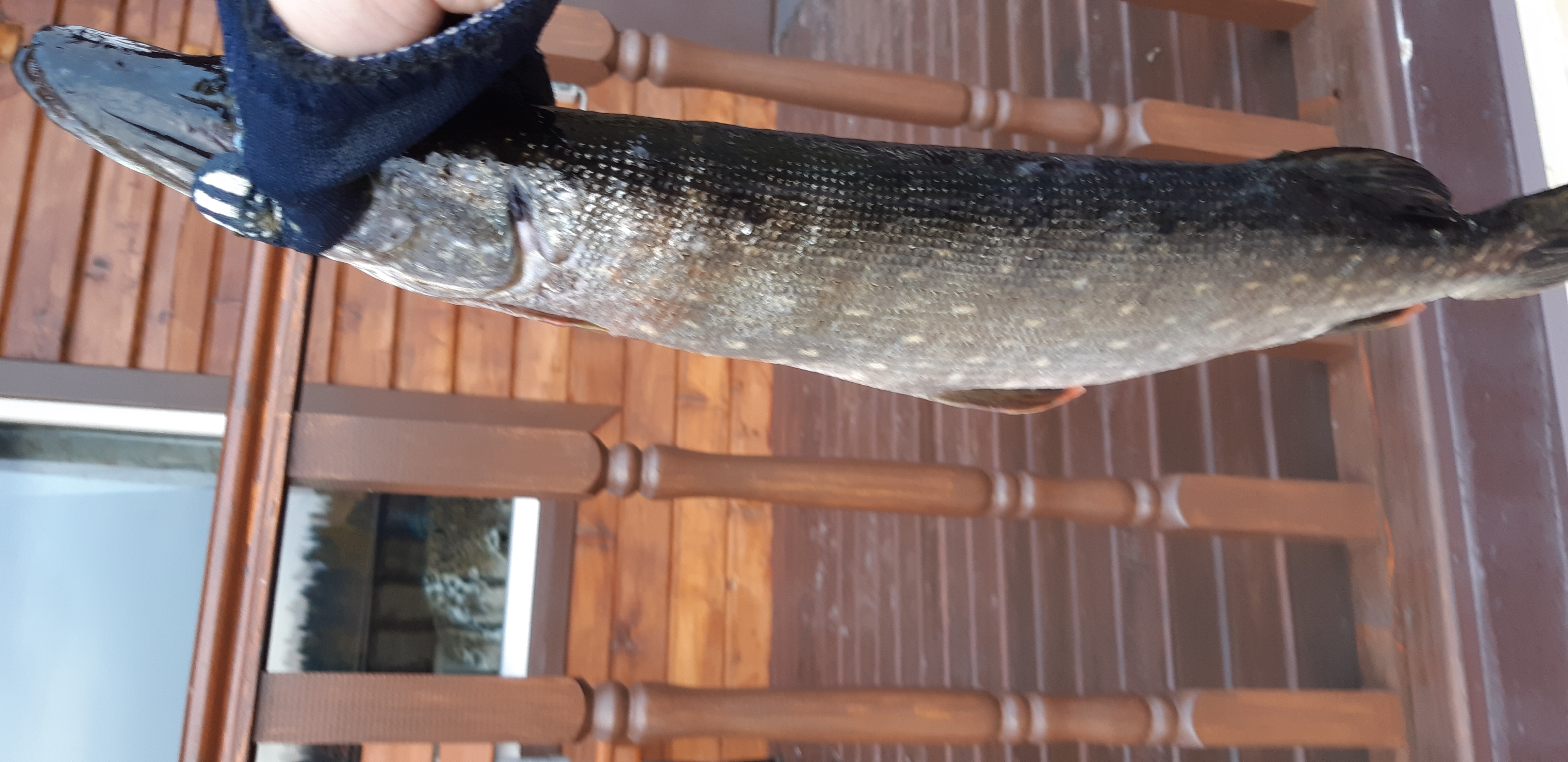 Фото Семейный дом