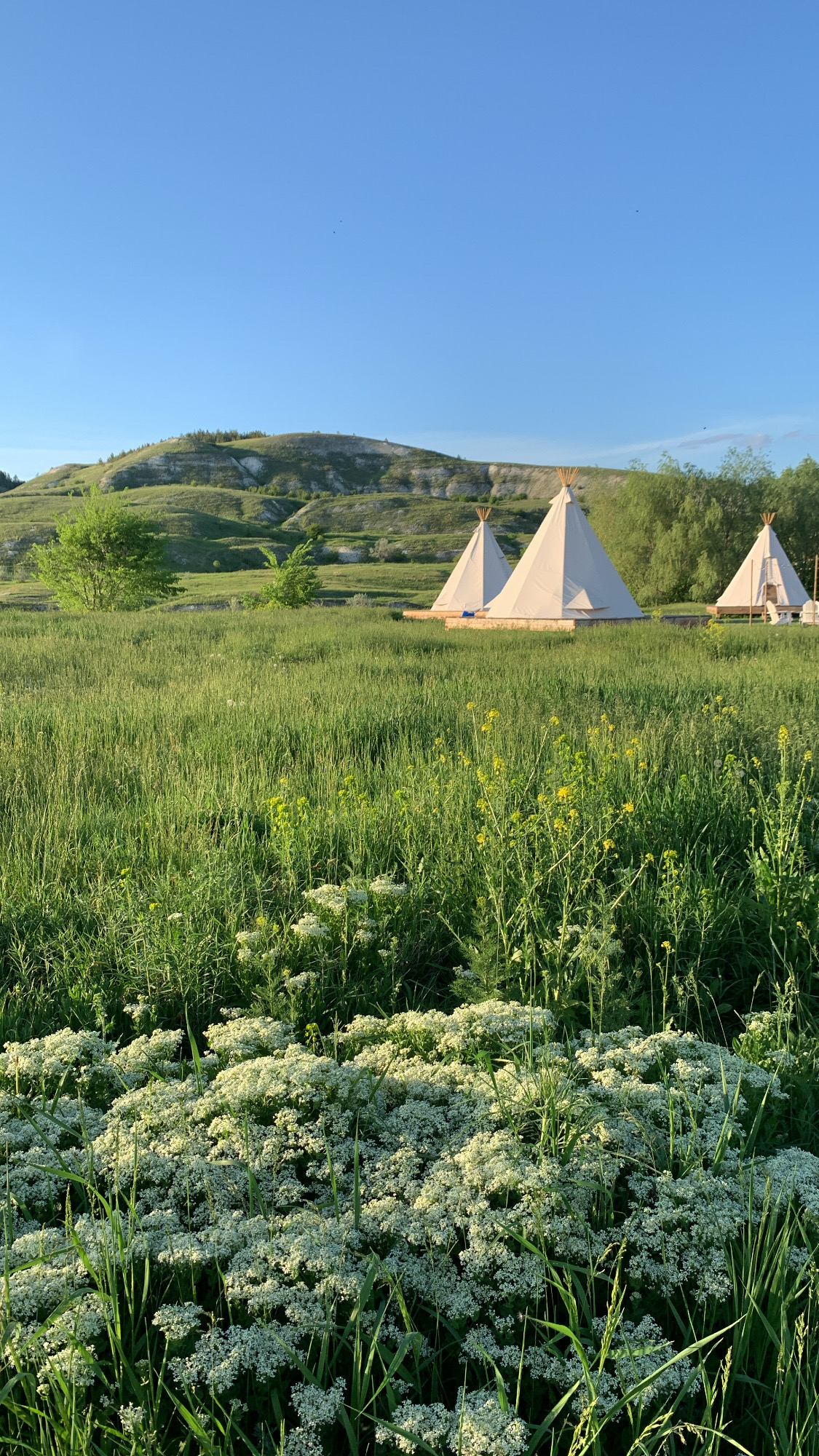 Фото Альфа Глэмпинг