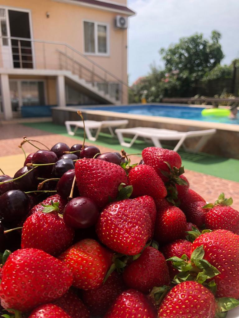 Фото Клевер