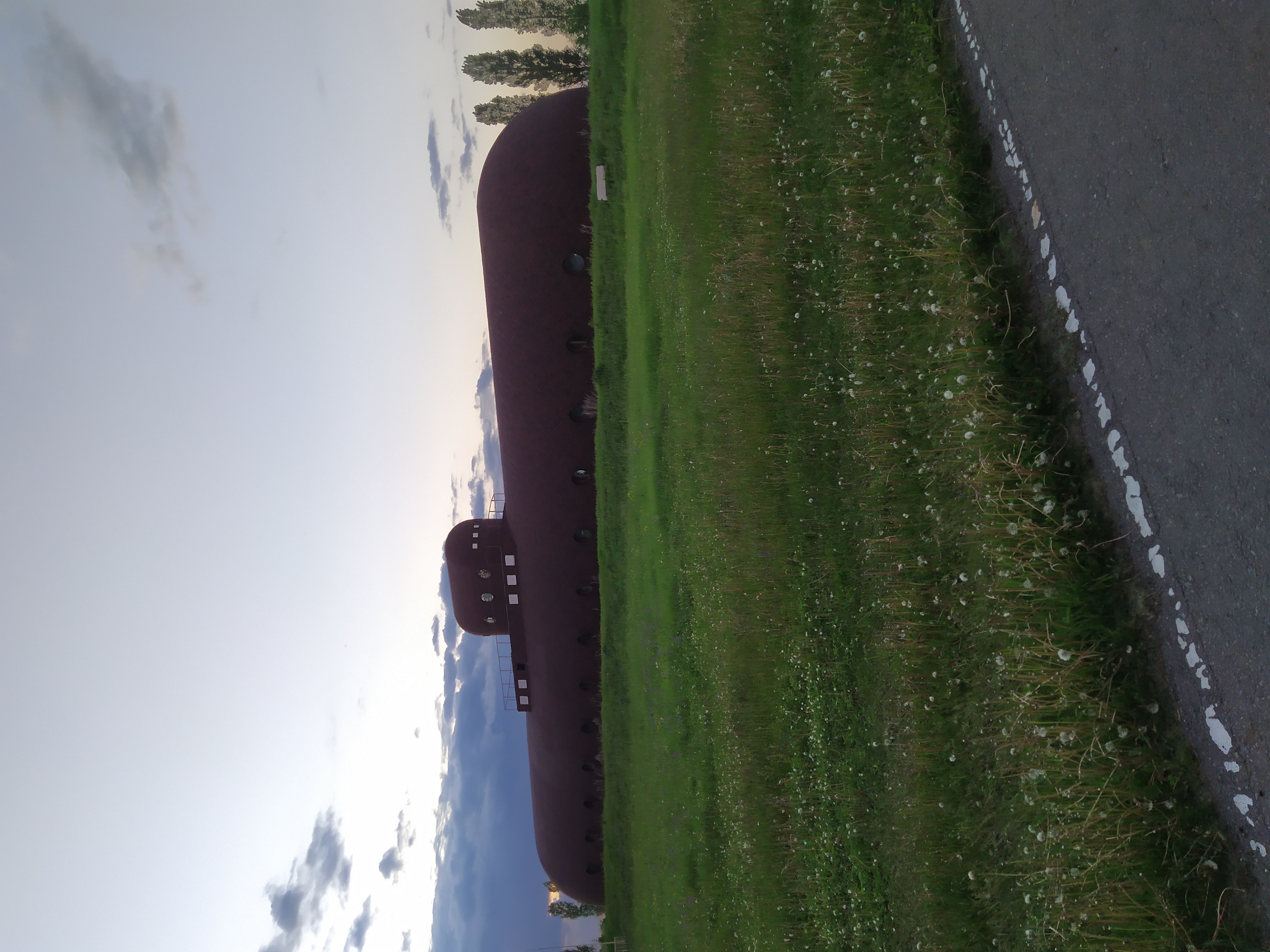 Фото Кленовая роща