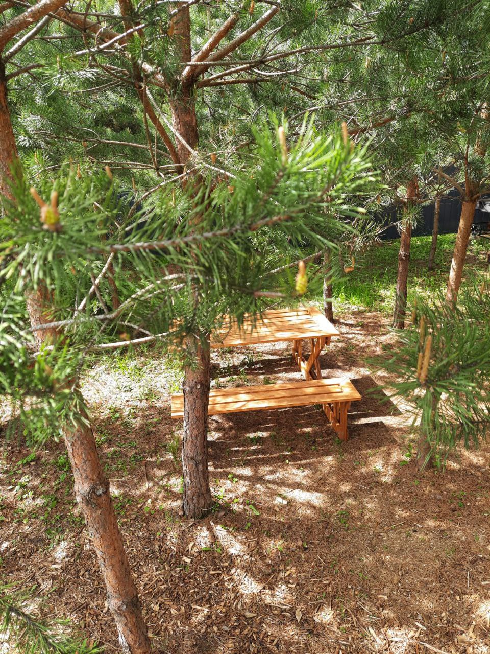 Фото Кусочек рая в соснах