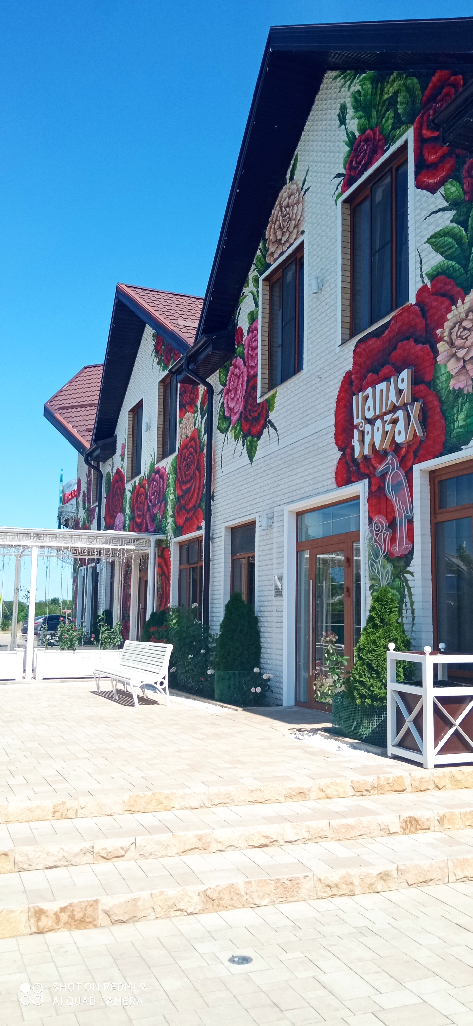 Фото Династия